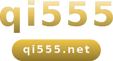 qi555 logo